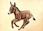 Donkey and Mule Art - Baby Donkey in a Hurry